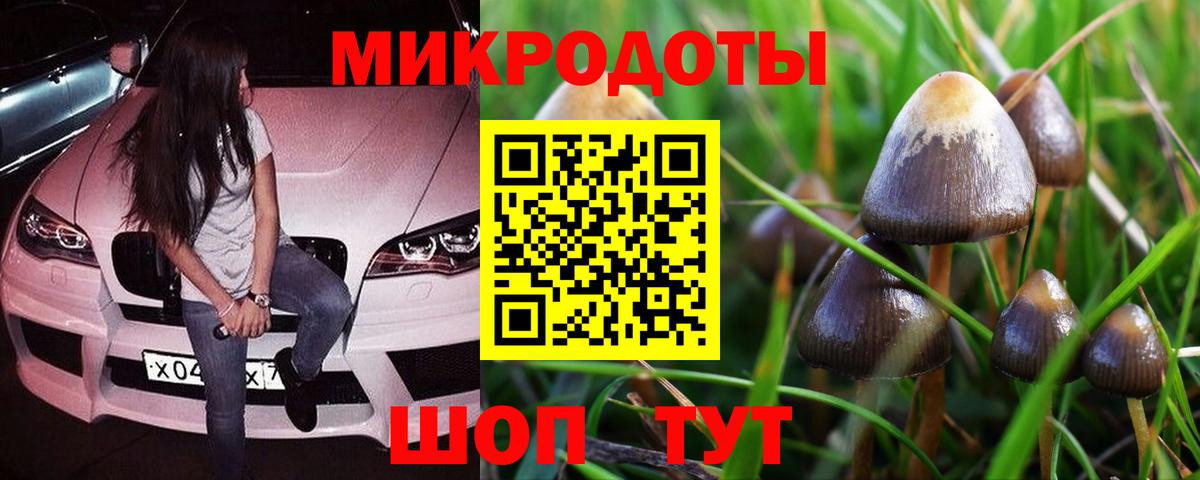 Галлюциногенные грибы мицелий Кудымкар